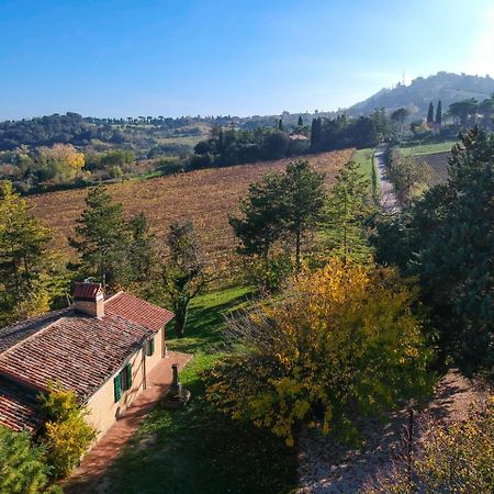 Il Vigneto Cottage Bertinoro Exterior foto