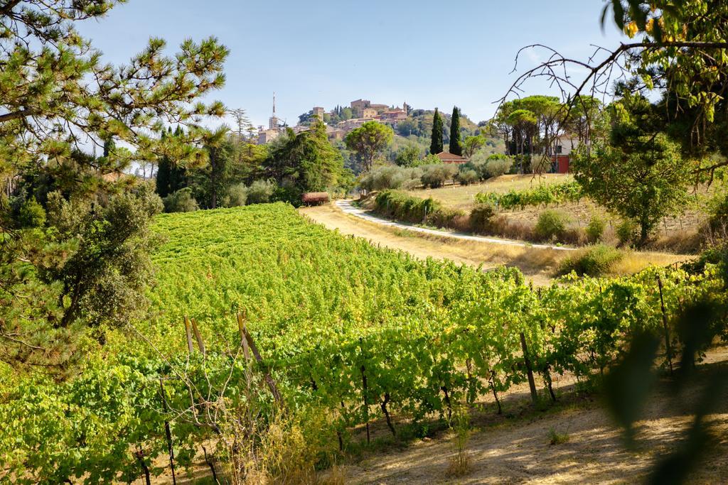Il Vigneto Cottage Bertinoro Exterior foto
