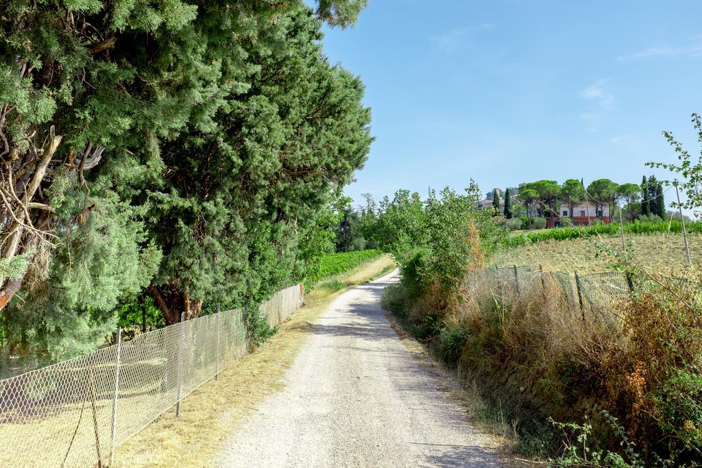 Il Vigneto Cottage Bertinoro Exterior foto